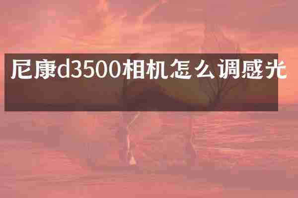 尼康d3500相机怎么调感光度