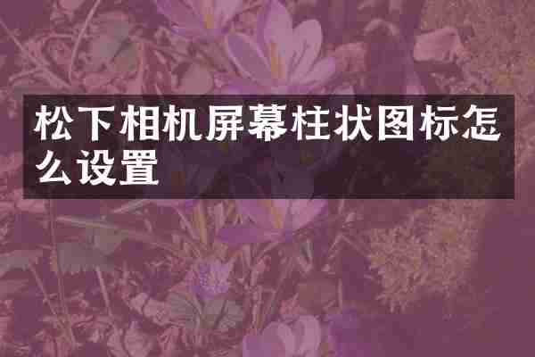 松下相机屏幕柱状图标怎么设置