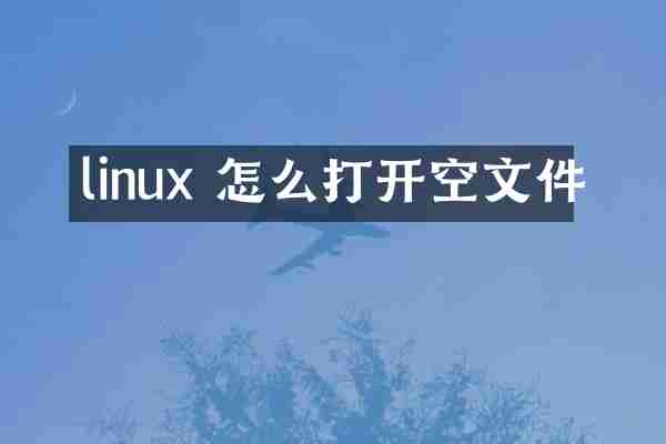 linux 怎么打开空文件