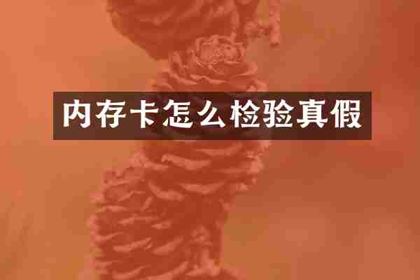 内存卡怎么检验真假