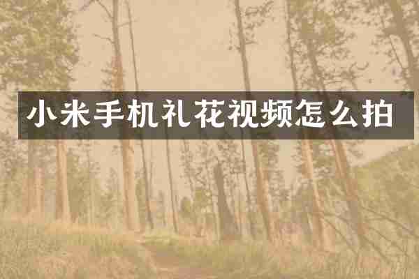 小米手机礼花视频怎么拍