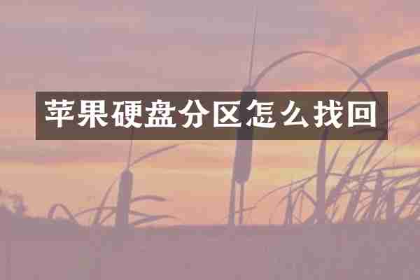 苹果硬盘分区怎么找回