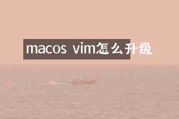 macos vim怎么升级