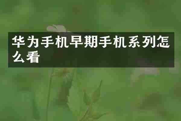 华为手机早期手机系列怎么看