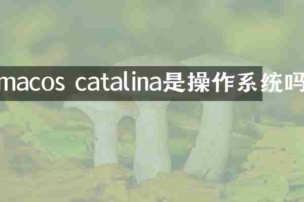 macos catalina是操作系统吗