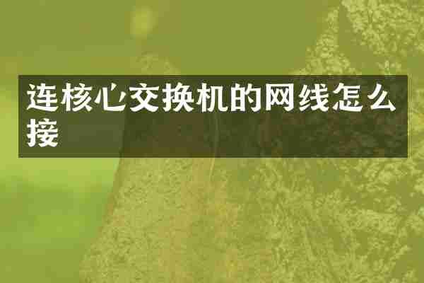 连核心交换机的网线怎么接