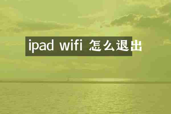 ipad wifi 怎么退出