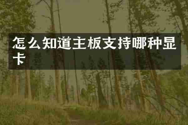 怎么知道主板支持哪种显卡
