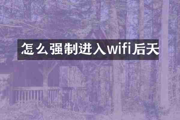 怎么强制进入wifi后天