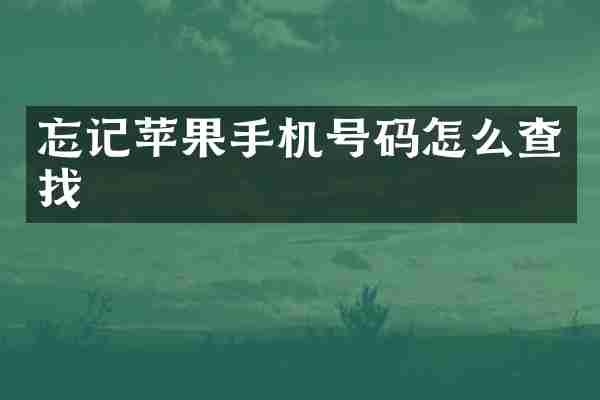 忘记苹果手机号码怎么查找
