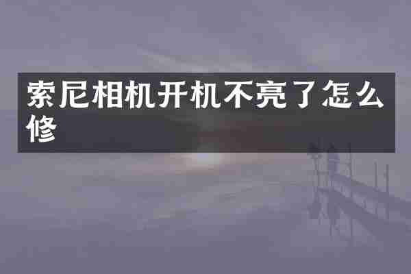 索尼相机开机不亮了怎么修