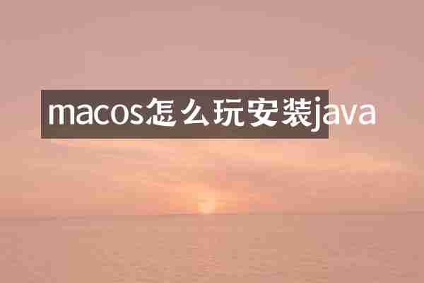 macos怎么玩安装java