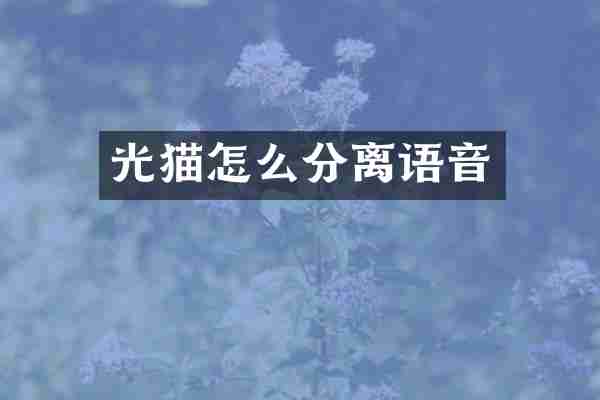 光猫怎么分离语音