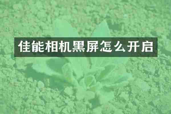 佳能相机黑屏怎么开启