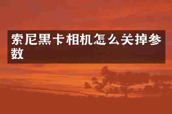 索尼黑卡相机怎么关掉参数