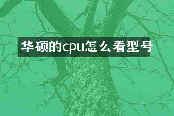 华硕的cpu怎么看型号