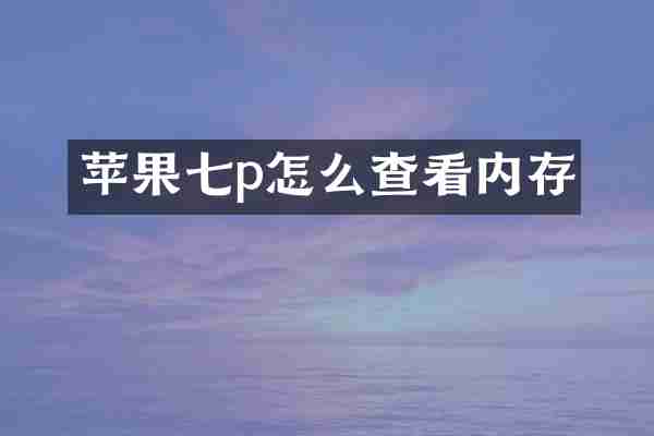 苹果七p怎么查看内存