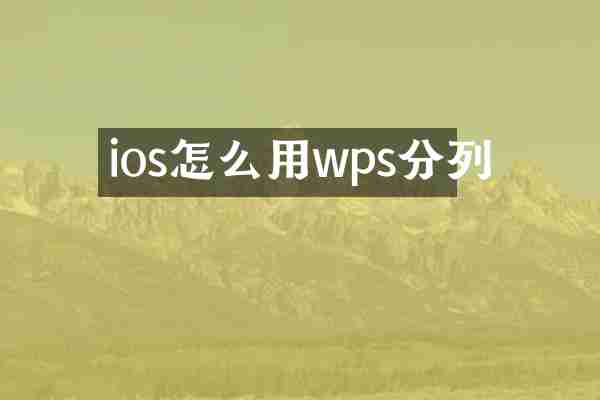 ios怎么用wps分列