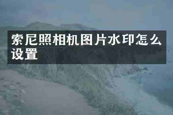 索尼照相机图片水印怎么设置