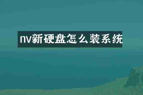nv新硬盘怎么装系统