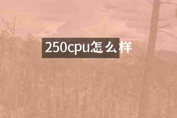 250cpu怎么样