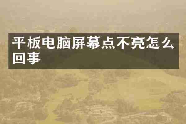 平板电脑屏幕点不亮怎么回事