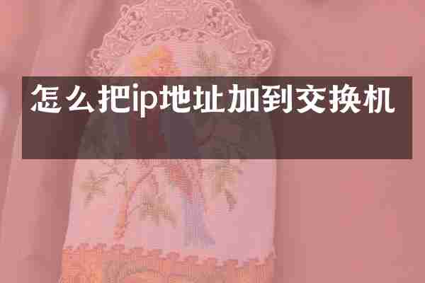 怎么把ip地址加到交换机上
