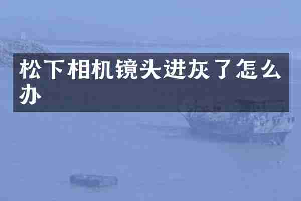 松下相机镜头进灰了怎么办