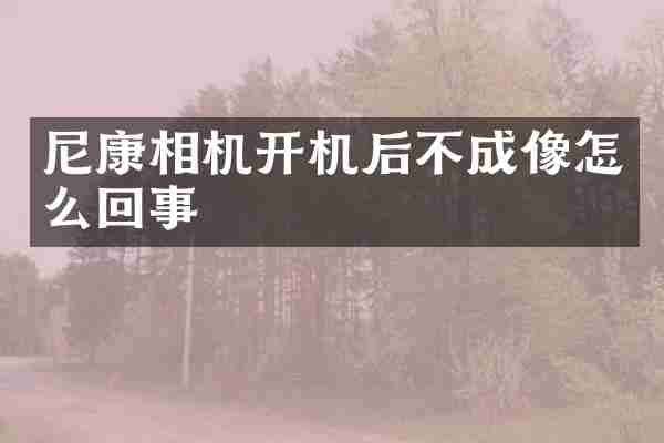 尼康相机开机后不成像怎么回事