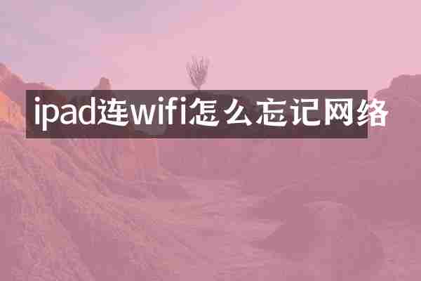 ipad连wifi怎么忘记网络