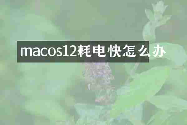 macos12耗电快怎么办