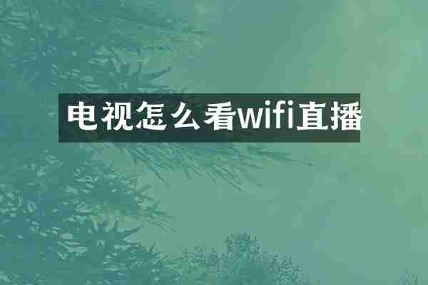 电视怎么看wifi直播