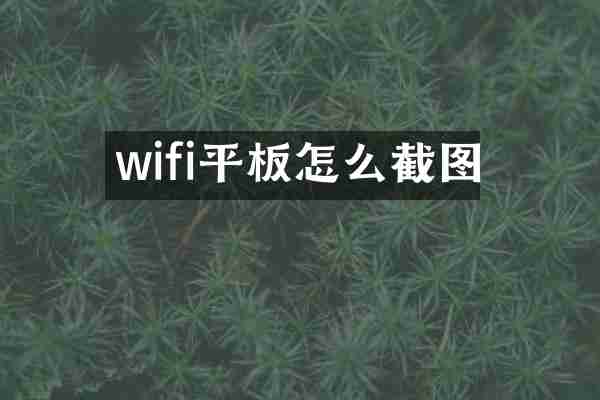 wifi平板怎么截图