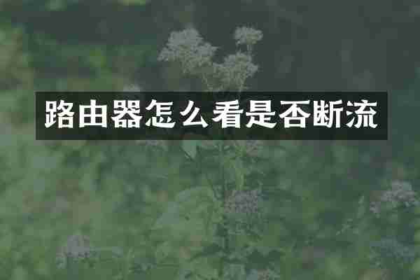 路由器怎么看是否断流
