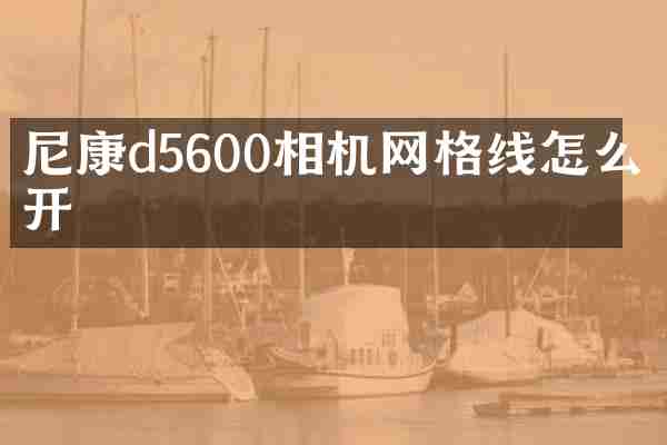 尼康d5600相机网格线怎么打开