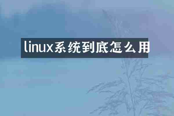 linux系统到底怎么用