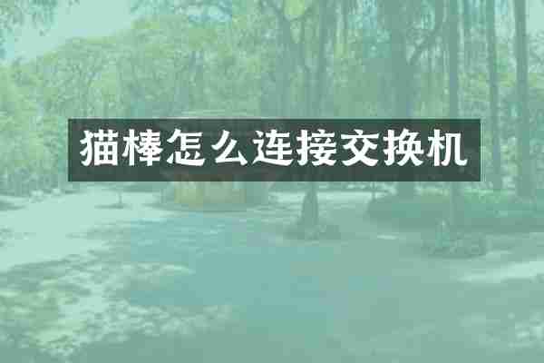 猫棒怎么连接交换机