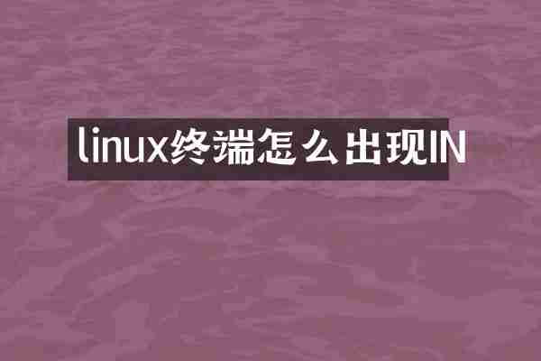 linux终端怎么出现IN