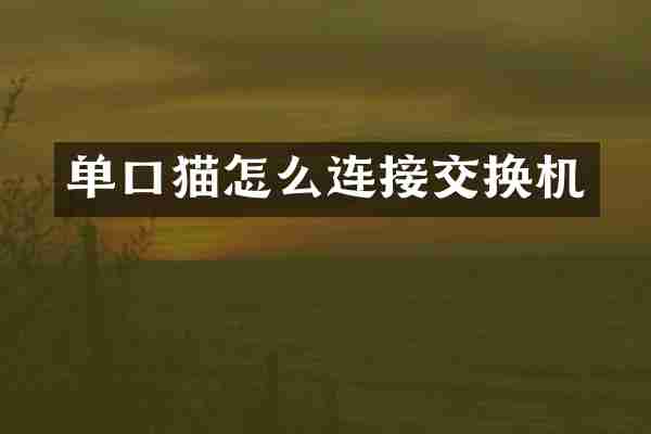 单口猫怎么连接交换机