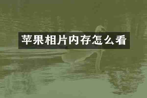 苹果相片内存怎么看