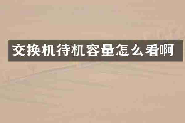 交换机待机容量怎么看啊