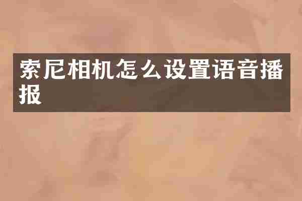 索尼相机怎么设置语音播报