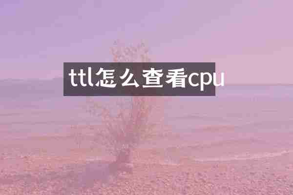 ttl怎么查看cpu