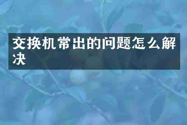 交换机常出的问题怎么解决
