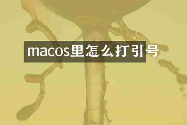 macos里怎么打引号