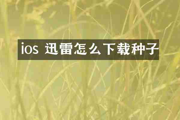 ios 迅雷怎么下载种子