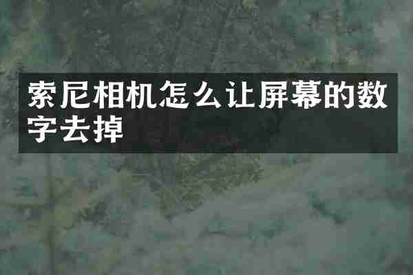 索尼相机怎么让屏幕的数字去掉