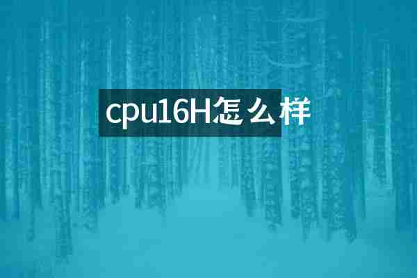 cpu16H怎么样