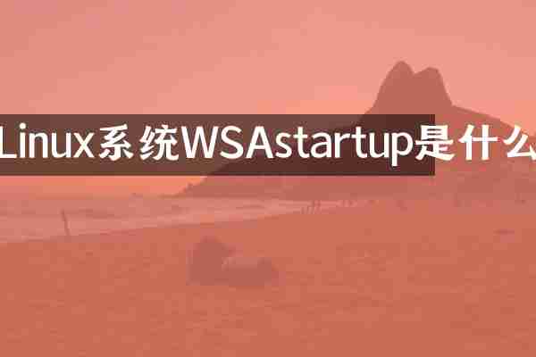 Linux系统WSAstartup是什么