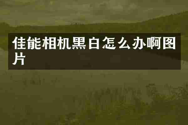 佳能相机黑白怎么办啊图片